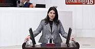 Çankırı Milletvekili Pelin Yılık TBMM Genel Kurulunda Konuştu