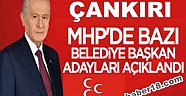 MHP 6 İlçede Başkan Adayı Belli Oldu