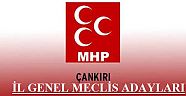 MHP İl Genel Meclis Adayları Belirlendi